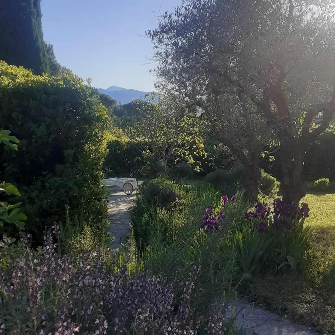 Les Verveines De Vaison المظهر الخارجي الصورة